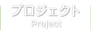 プロジェクト