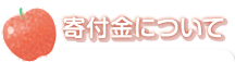 寄付金について